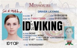The 10 Best Fake ID Websites (updated 2024) – CollegeRag.net